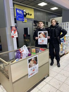 Akcja „Mikołajowa paka dla kociaka” podsumowana